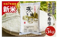 【数量限定】【10月より順次発送】【令和7年産　新米】茨城県産コシヒカリ 5kg 【お米 ごはん こしひかり 老舗 米屋 おにぎり ごはん 茨城県 水戸市 5キロ】(HQ-101)