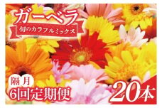 【6回隔月定期便】旬の水戸市常澄のガーベラ カラフルミックス20本【ガーベラ 産直 サプライズ フラワーアレンジ 花 お花 贈り物 誕生日 母の日 彼女にプレゼント 水戸市 茨城県】（DR-133）