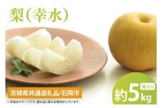 【8月中旬より発送】【数量限定】梨（幸水）5kg【茨城県共通返礼品/石岡市】【果物 くだもの フルーツ ナシ なし 幸水 新鮮 旬 お取り寄せ 期間限定 茨城県 水戸市 】（KL-5）