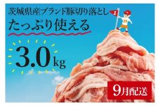 【9月発送】【数量限定】リピーター続出！茨城県産ブランド豚切り落とし3kg (300g×10p)【肉 豚肉 切り落とし 小分け 真空 真空パック 茨城県産 肉料理 肩ロース ウデ モモ バラ 水戸市 水戸】（EC-101-9）