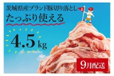 【9月発送】【数量限定】リピーター続出！茨城県ブランド豚切り落とし4.5kg (300g×15p)【肉 豚肉 切り落とし 小分け 真空 真空パック 茨城県産 肉料理 肩ロース ウデ モモ バラ 水戸市 水戸】（EC-104-9）