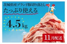 【11月発送】【数量限定】リピーター続出！茨城県ブランド豚切り落とし4.5kg (300g×15p)【肉 豚肉 切り落とし 小分け 真空 真空パック 茨城県産 肉料理 肩ロース ウデ モモ バラ 水戸市 水戸】（EC-104-11）
