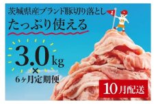 【10月から6か月定期便】【数量限定】リピーター続出！茨城県産豚ブランド切り落とし計18kg(3kg×6回)【肉 豚肉 切り落とし 小分け 真空 真空パック 茨城県産 肉料理 肩ロース ウデ モモ バラ 水戸市 水戸】（EC-103-10）