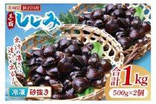 茨城県涸沼川産 だしの濃さに違いが出る！手掘しじみ（砂抜き）500g×２個（1kg）【涸沼川 シジミ オルニチン 味噌汁 スープ 茨城県 水戸市】（MS-7）