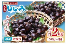 茨城県涸沼川産 だしの濃さに違いが出る！手掘しじみ（砂抜き）500g×４個（２kg）【涸沼川 シジミ オルニチン 味噌汁 スープ 茨城県 水戸市】（MS-8）