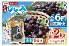 【全6回隔月定期便】茨城県涸沼川産 だしの濃さに違いが出る！手掘しじみ（砂抜き）500g×4個（2kg）【涸沼川 シジミ オルニチン 味噌汁 スープ 茨城県 水戸市】（MS-12）