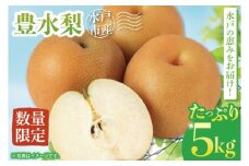【9月中旬より順次発送】【数量限定】水戸の恵みをお届け 豊水梨５kg【茨城県 水戸市 ふるさと納税 果物 くだもの フルーツ 梨 ナシ なし 採れたて 新鮮 完熟 期間限定】（NO-1）