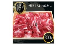 Ｂ-1　日立市産　常陸牛切り落とし(300g)