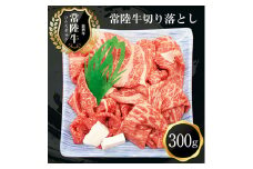 B-21　常陸牛　おいしい切り落とし（300g）
