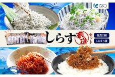 B-27 こまつ しらす厳選セット シラス 本気のシラス 釜揚げ ちりめん 山椒 生姜 しらす丼 魚 魚介 海の幸 グルメ 人気 ギフト 贈り物 贈答品 食べ比べ 送料無料 小松水産 茨城県 日立市