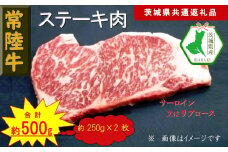 【常陸牛】ステーキ用肉 約500g（茨城県共通返礼品）【常陸牛　茨城県産　日立市】