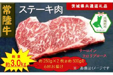 【6か月定期便】【常陸牛】ステーキ用肉 約500g【定期便】計6回 総量約3,000g（茨城県共通返礼品）【常陸牛　茨城県産　日立市】