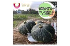 ベストセレクションひたち認定　茂宮かぼちゃ　6kg　4～6個入り＜2025年6月20日出荷開始～2025年7月15日出荷終了＞【 野菜 茨城県 日立市 】