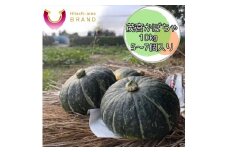 ベストセレクションひたち認定　茂宮かぼちゃ　10kg　5～7個入り＜2025年6月20日出荷開始～2025年7月15日出荷終了＞【 野菜 茨城県 日立市 】
