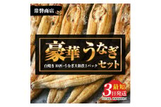 豪華 国産うなぎセット（うなぎの白焼き10匹・うなぎ大和煮2パック）【最短3日発送】
※沖縄・離島への配送不可