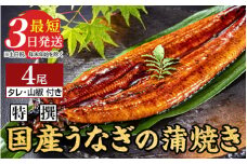 特撰 国産うなぎの蒲焼き4尾【最短3日発送】国産のブランド鰻を茨城県土浦市の職人が手間を惜しまず一つ一つ丁寧に作り上げた美味しい蒲焼きをぜひご賞味ください！
※離島への配送不可