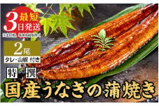 特撰 国産うなぎの蒲焼き2尾【最短3日発送】国産のブランド鰻を茨城県土浦市の職人が手間を惜しまず一つ一つ丁寧に作り上げた美味しい蒲焼きをぜひご賞味ください！
※離島への配送不可