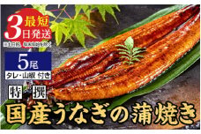 国産のうなぎ蒲焼き5尾【最短3日発送】国産のブランド鰻を茨城県土浦市の職人が手間を惜しまず一つ一つ丁寧に作り上げた美味しい蒲焼きをぜひご賞味ください！
※離島への配送不可