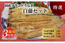 国産うなぎ白蒲セット4本【最短3日発送】うなぎの白焼き（120g～130g×2尾）、うなぎの蒲焼き（120g～130g×2尾）、男のきくらげのセット｜国産のブランド鰻を茨城県土浦市の職人が丁寧に作り上げた美味しい蒲焼きと白焼きです
※離島への配送不可