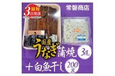 国産うなぎ蒲焼3尾+白魚干し200g【最短3日発送】
※沖縄・離島への配送不可