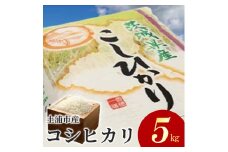令和6年産米 土浦市産 コシヒカリ 精米5kg◇ ｜ 茨城県土浦市のお米が収穫される旧新治村地区は、ホタルが舞うのどかな里です ※離島への配送不可　※2024年9月下旬～2025年8月上旬頃より順次発送予定