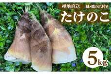 【先行予約】農園直送！たけのこ 5kg（糠・鷹の爪付）※北海道・沖縄・離島への配送不可 ※2025年4月上旬～4月下旬頃に順次発送予定