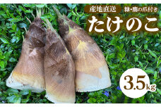 【先行予約】農園直送！たけのこ 3.5kg（糠・鷹の爪付）※北海道・沖縄・離島への配送不可 ※2025年4月上旬～4月下旬頃に順次発送予定