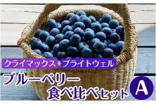 大粒 ブルーベリー食べ比べセット (A) 農薬不使用
※離島への配送不可
※着日指定不可
