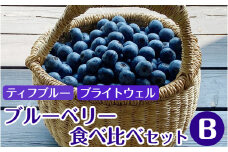 大粒 ブルーベリー食べ比べセット (B) 農薬不使用
※離島への配送不可
※着日指定不可