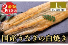うなぎ白焼き　1尾（120g以上×1尾） | メディアに紹介されたうなぎ屋 国産 冷蔵 うなぎ 鰻 ウナギ タレ・山椒つき しら焼き
※着日指定不可
※離島への配送不可