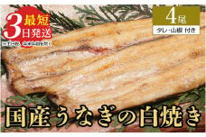 うなぎ白焼き　4尾（120g以上×4尾） | メディアに紹介されたうなぎ屋 国産 冷蔵 うなぎ 鰻 ウナギ タレ・山椒つき しら焼き
※着日指定不可
※離島への配送不可
