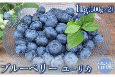 冷凍　最短3日発送　ユーリカ　1kg（500g×2) ブルーベリー
※離島への配送不可
※着日指定不可