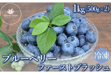冷凍　最短3日発送　ファーストブラッシュ　1kg（500g×2) ブルーベリー
※離島への配送不可
※着日指定不可