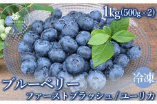 冷凍　ユーリカとファーストブラッシュ　1kg（500g×2) ブルーベリー
※離島への配送不可
※着日指定不可