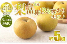 【定期便】梨 品種移り変わりセット 3ヶ月連続お届け（8月、9月、10月） 【茨城県共通返礼品　結城市産】※先行予約　※2025年8月上旬～10月下旬頃に順次発送予定