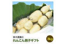 鈴木農園のれんこん親子ギフト　3kg
※離島への配送不可
※2023年9月下旬～12月中旬頃に順次発送予定