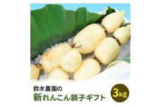 鈴木農園の新れんこん親子ギフト 3kg ※離島への配送不可 ※2025年9月上旬頃～10月中旬頃に順次発送予定