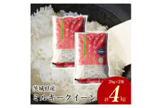 令和7年産 茨城県産 ミルキークイーン 精米4kg（2kg×2袋） | ミルキークイーンは粘りが強くかつ柔らかいお米です。お弁当にぴったりと言われています。 ※離島への配送不可 ※2025年10月上旬～2026年7月下旬頃に順次発送予定
