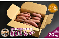 生芋　20kg　S～Lサイズ混合　2箱 いも長 | さつまいも いも 生いも 紅はるか 国産
※着日指定不可
※離島への配送不可
※2024年11月下旬～2025年9月下旬頃に順次発送予定