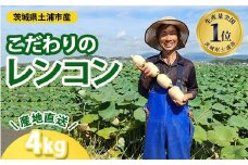 こだわりのレンコン4kg ｜ ギフト 産地直送 茨城県 土浦市産 れんこん 蓮根 シャキシャキ 甘み 送料無料 ※離島への配送不可 ※2025年9月上旬頃より順次発送予定