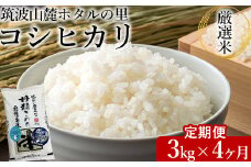 【定期便 4ヶ月】令和7年産 筑波山麓ホタルの里厳選米コシヒカリ3kg 透き通った大粒米 ※離島への配送不可 ※2025年10月下旬頃より順次発送予定