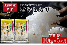 【定期便 5ヶ月】令和7年産 土浦市産コシヒカリ 精米10kg ホタルが舞う里のお米 ※離島への配送不可 ※2025年9月中旬頃より順次発送予定