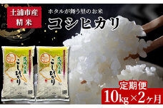 【定期便 6ヶ月】令和7年産 土浦市産コシヒカリ 精米10kg ホタルが舞う里のお米 ※離島への配送不可 ※2025年9月中旬頃より順次発送予定