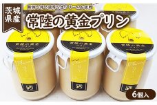 常陸の黄金プリン6個入
※離島への配送不可
※着日指定不可