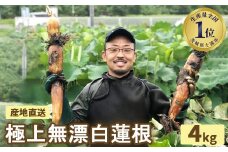 野口れんこん 茨城県産 極上無漂白蓮根4kg | 茨城県 蓮根 れんこん レンコン ハス 根菜 シャキシャキ 甘い 産地直送 産直　※離島への配送不可