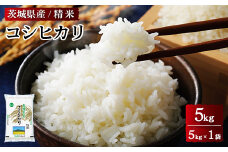 令和6年産 茨城県産 コシヒカリ 精米 5kg(5kg×1袋)  ※離島への配送不可
