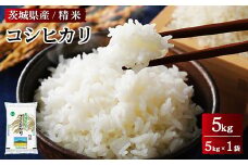 令和6年産 茨城県産 コシヒカリ 精米 5kg(5kg×1袋)  ※離島への配送不可