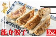 龍介餃子【24個入り×5袋セット】
※着日指定不可
※離島への配送不可