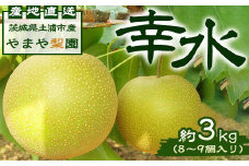 【先行予約】幸水約3kg（8～9個入り） ※2025年8月中旬～8月下旬頃に順次発送予定【茨城県産】
※離島への配送不可