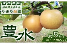 【先行予約】豊水約5kg（8～14個入り） ※2025年8月下旬～9月上旬頃に順次発送予定【茨城県産】
※離島への配送不可